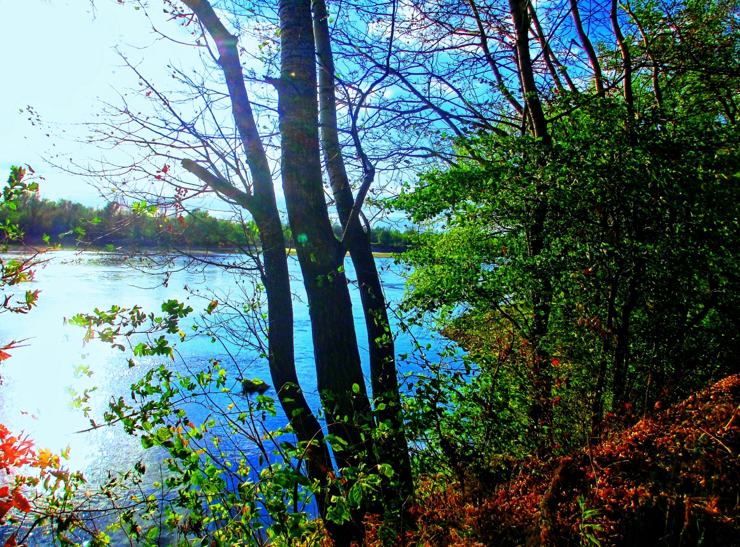 AUTUM PICTURES: Beautiful landscape - autumn river and forest-2516x1861